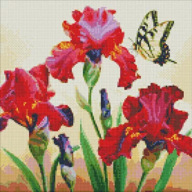 Ideyka Diamentowa mozaika - Wytworne irysy 40x40cm