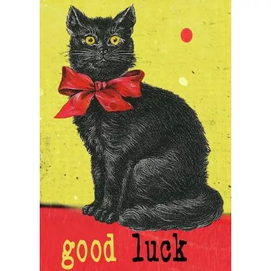 Karnet B6 z kopertą Czarny kot Good Luck