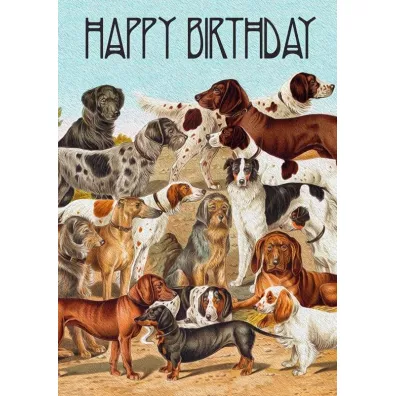 Karnet B6 z kopertą Urodziny Psy