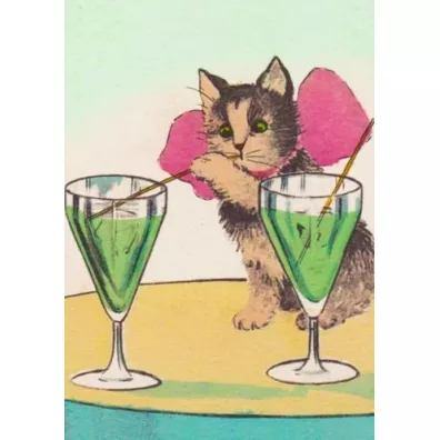 Karnet B6 z kopertą Kot i drinki