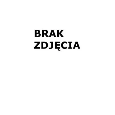 Dinozaur zdalnie sterowany Velociraptor Madej