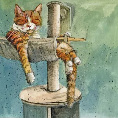 Alex Clark Karnet AC811 Kot na drapaku