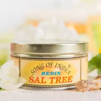 Song Of India Żywica zapachowa - Sal Tree