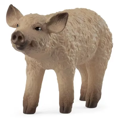 Prosię Mangalica