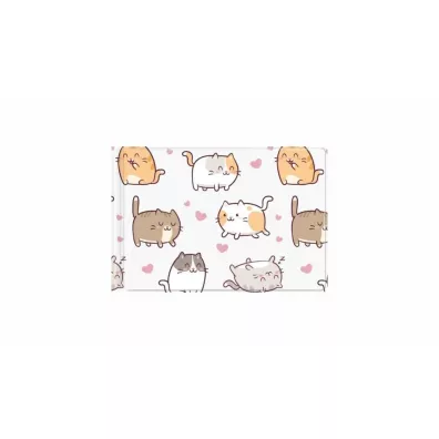 Biurfol Okładka na dokumenty ucznia małe kittens