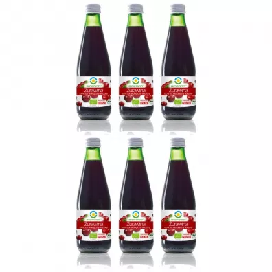 Bio Food Sok z żurawiny zgrzewka 6 x 300 ml Bio