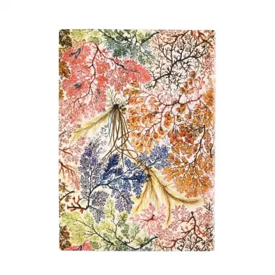 Notatnik linia Anemone midi