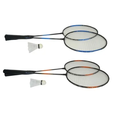 Badminton MIX Swede