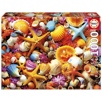 Puzzle 1000 Kolorowe muszelki Educa