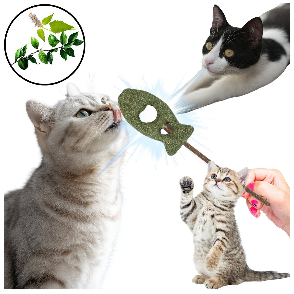 Rybka Matatabi dla Kota - 100% Naturalna Zabawka Czyszcząca Kamień Nazębny