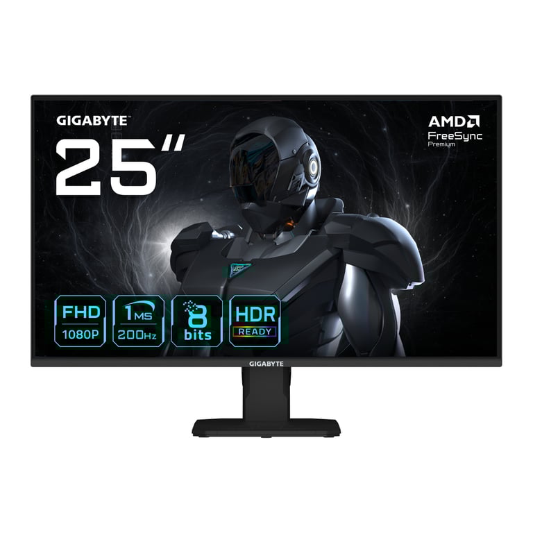 GIGABYTE GS25F2 24.5