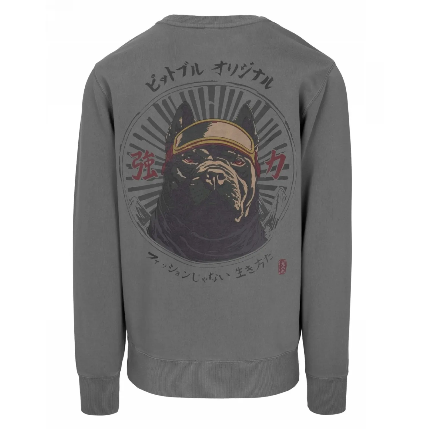 Bluza PITBULL Washed MT Fugi '25 - Washed Grey S
