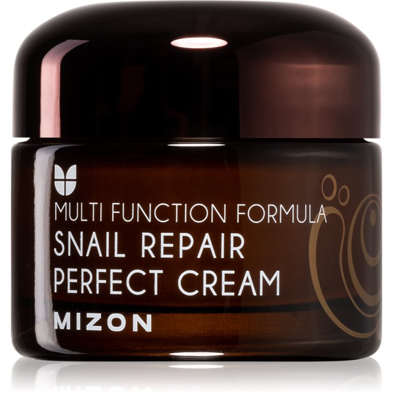 Mizon Mizon Multi Function Formula krem do twarzy z ekstraktem ze śluzu z ślimaka 60% Snail Repair Perfect Cream) 50 ml