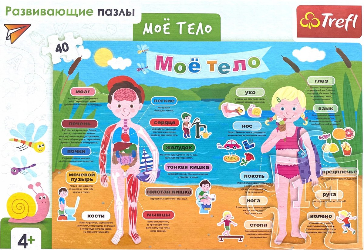 Puzzle 40 el. Moje Ciało - wersja rosyjska
