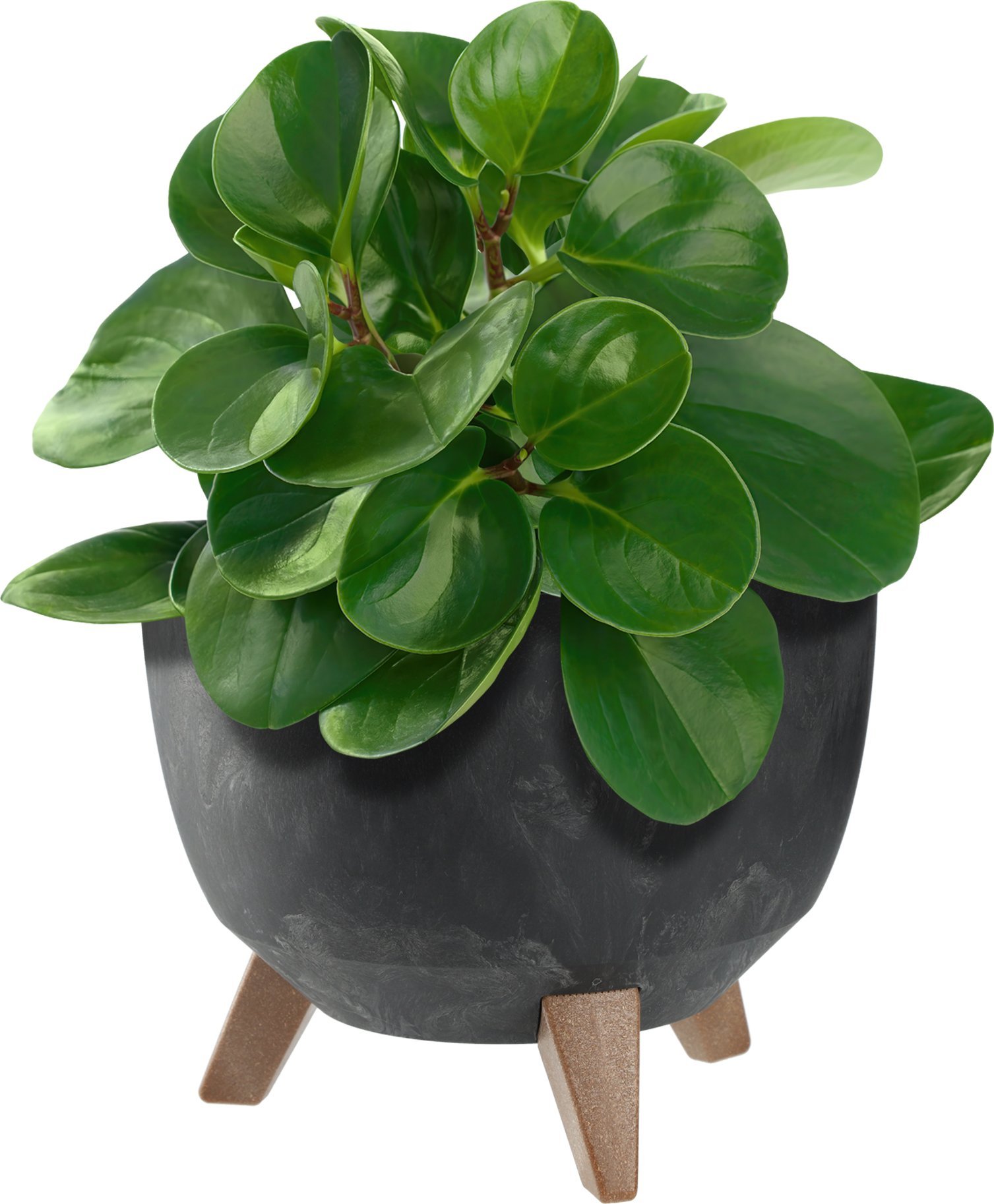 KADAX Doniczka Donica Na Kwiaty 24cm Osłonka + Wkład Nóżki Korek Kwietnik Czarna