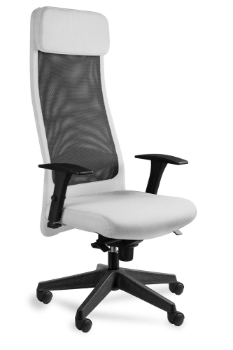 Fotel biurowy, ergonomiczny, Ares Mesh, czarny, snowy