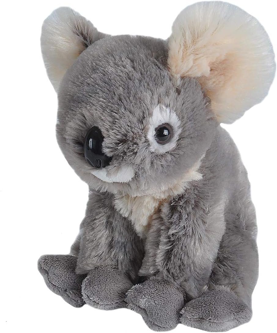 wild republic miś koala 20cm maskotka pluszak edukacyjna