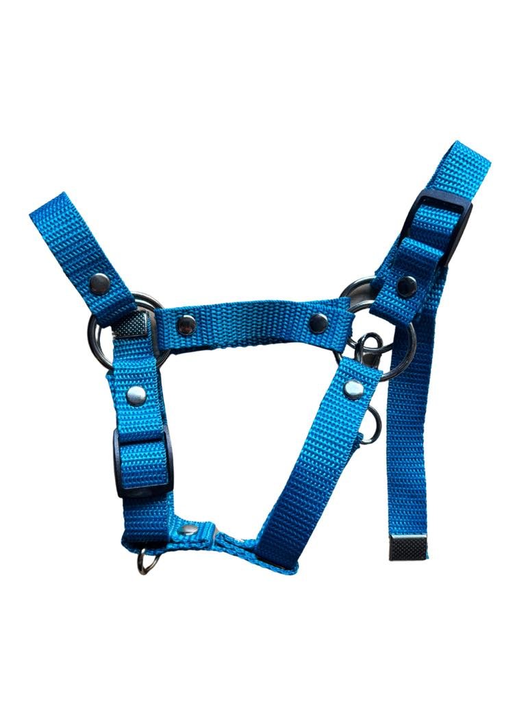 Regulowany niebieski kantar dla Hobby Horse