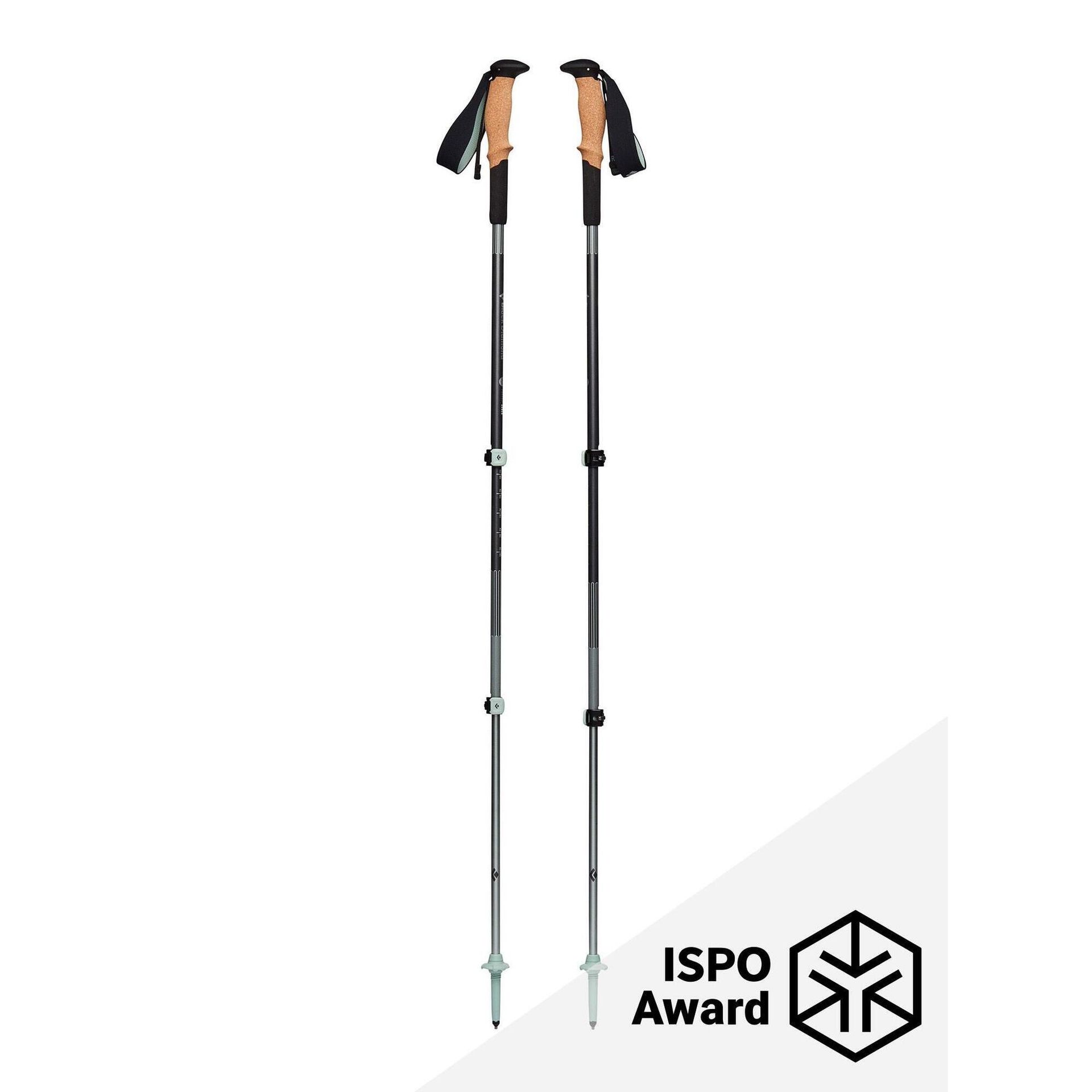 Kije trekkingowe Black Diamond Pursuit Shock Trekking Poles Długość kijków: 140 cm / Kolor: szary/zielony