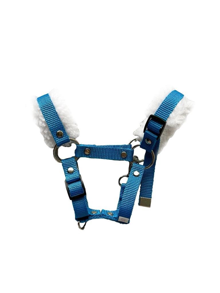 Regulowany niebieski kantar z futerkiem dla Hobby Horse