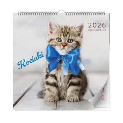 Kalendarz 2026 ścienny lux kociaki