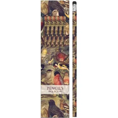 Ołówki ozdobne STPEN34 ptaki 6 sztuk