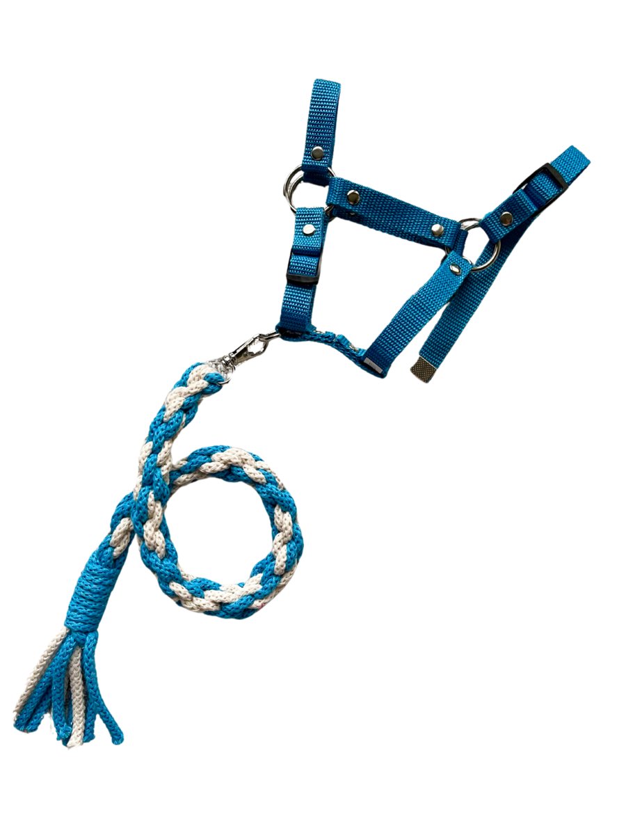 Niebieski zestaw dla hobby horse