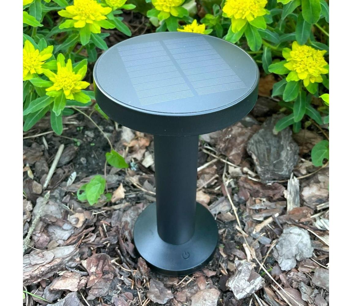 Zuma Line DT33611 - LED Lampa solarna CARLI LED/2W/2000 mAh IP44 czarny