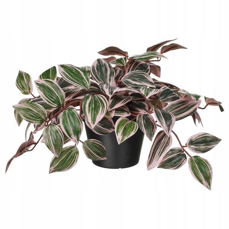 IKEA FEJKA Sztuczna roślina doniczkowa, Tradescencja liliowy, 12 cm