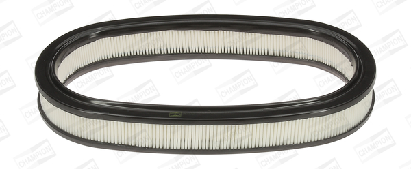 Filtr powietrza CHAMPION CAF100225R C30321 CAF100225R