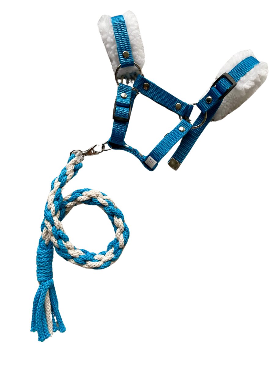 Niebieski zestaw kantar z futerkiem oraz uwiąz