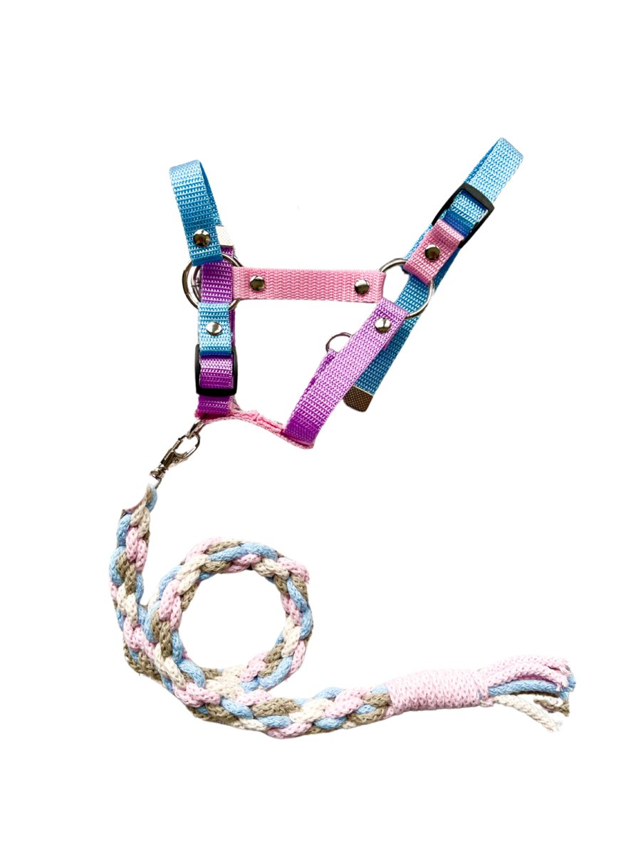 Zestaw dla hobby horse kantar z uwiązem w kolorach: beżu, ecru, błękitu, różu