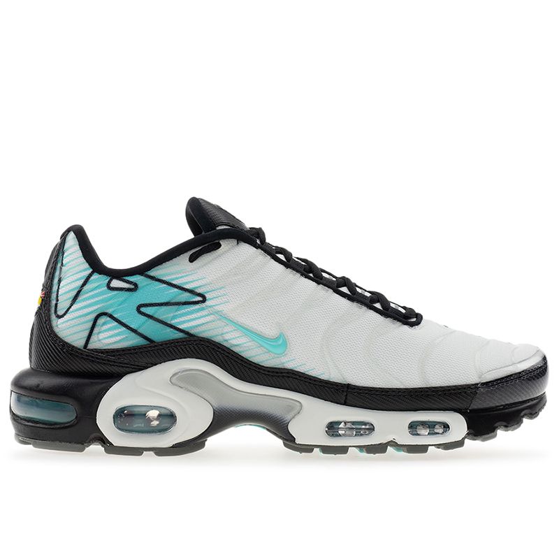 Buty męskie Nike Air Max Plus HV6225-100 - białe
