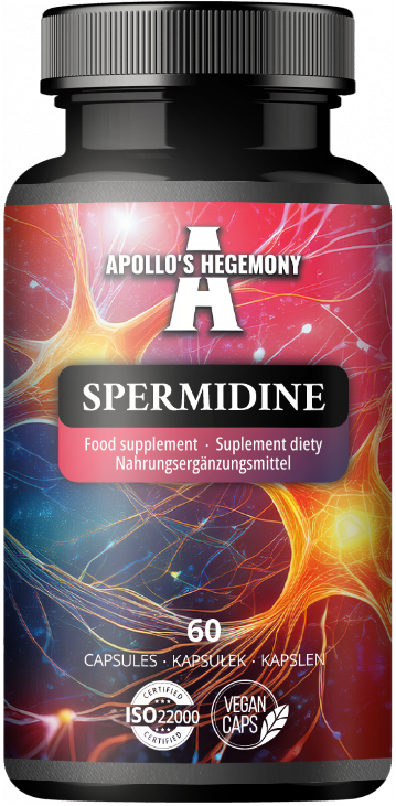 APOLLO'S HEGEMONY SPERMIDINE 60 KAPSUŁEK