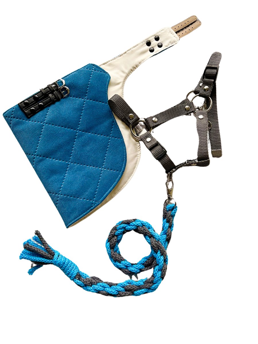 Zestaw super z niebieska regulowana derka dla Hobby Horse