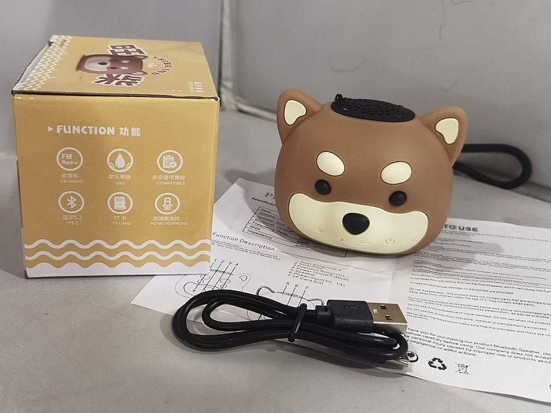 Głośnik Bluetooth kabel Usb