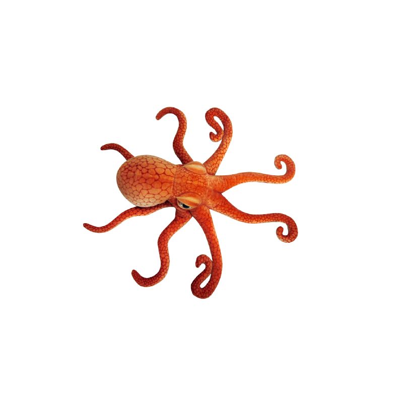Ośmiornica 47cm