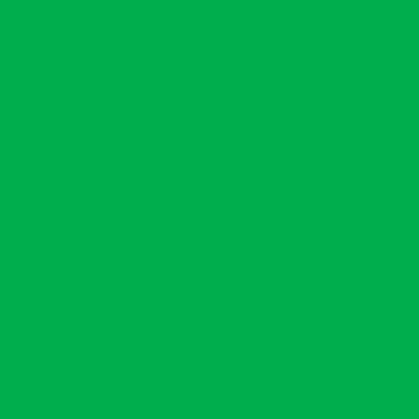 Colorama winylowe SPRING GREEN 1.0x1.3m - matowe