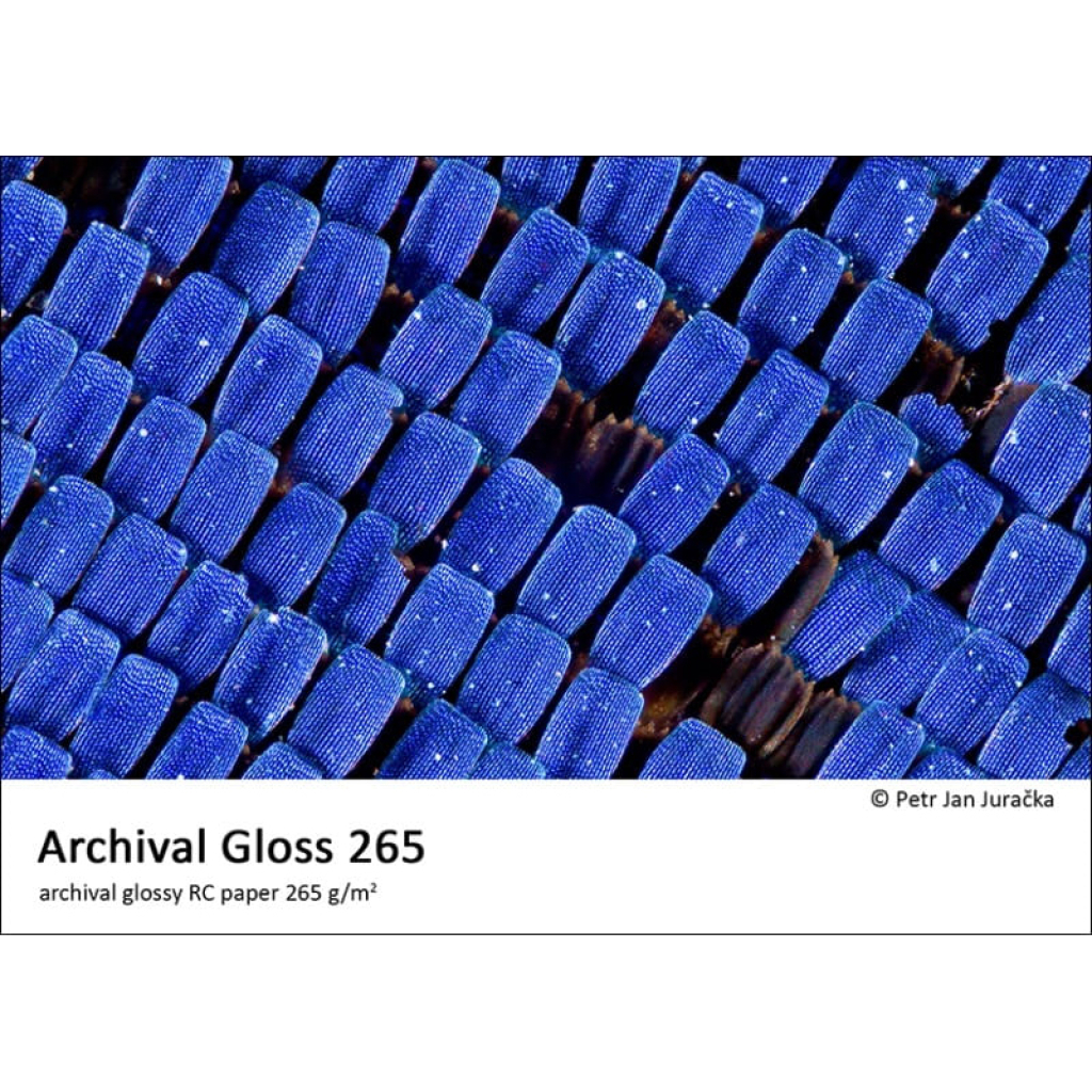 Fomei Archival Gloss 9x13/50 G265