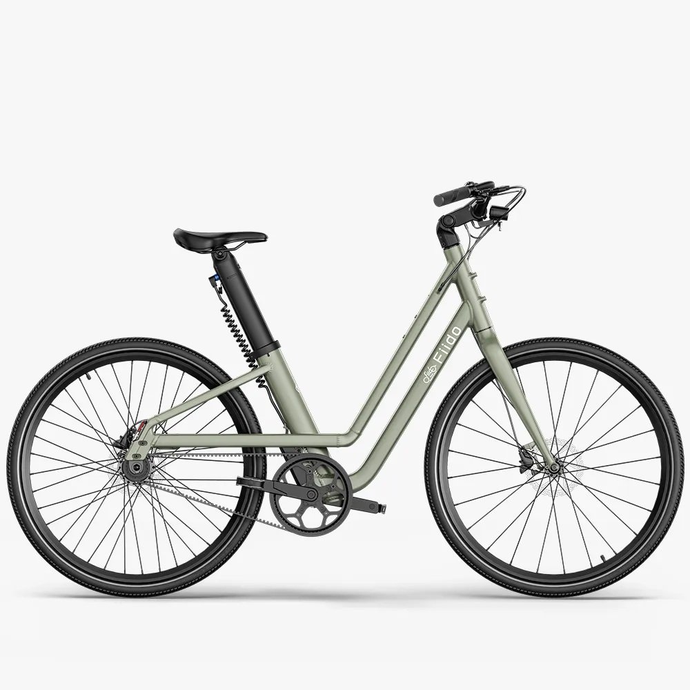 Fiido C700 250W 7.8Ah Stylowy Miejski E-bike do 80 km 19,7 kg 2025