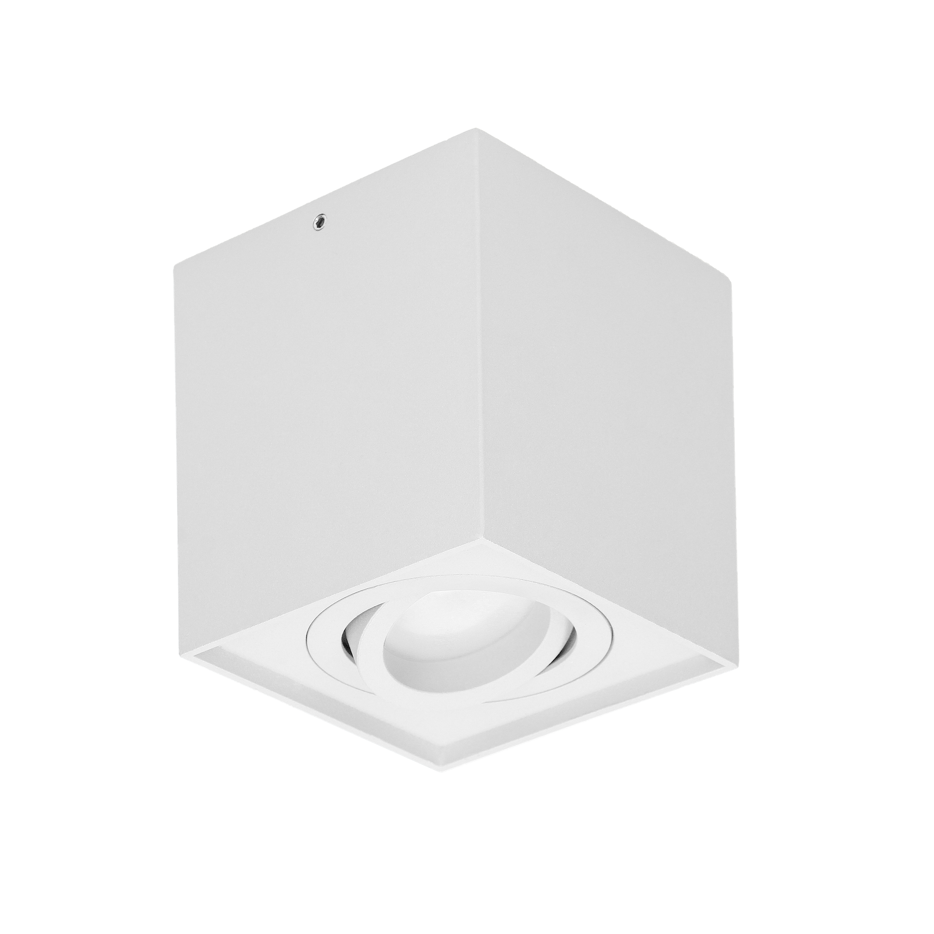 Downlight natynkowy nastawny CAROLIN DLS GU10 - biały