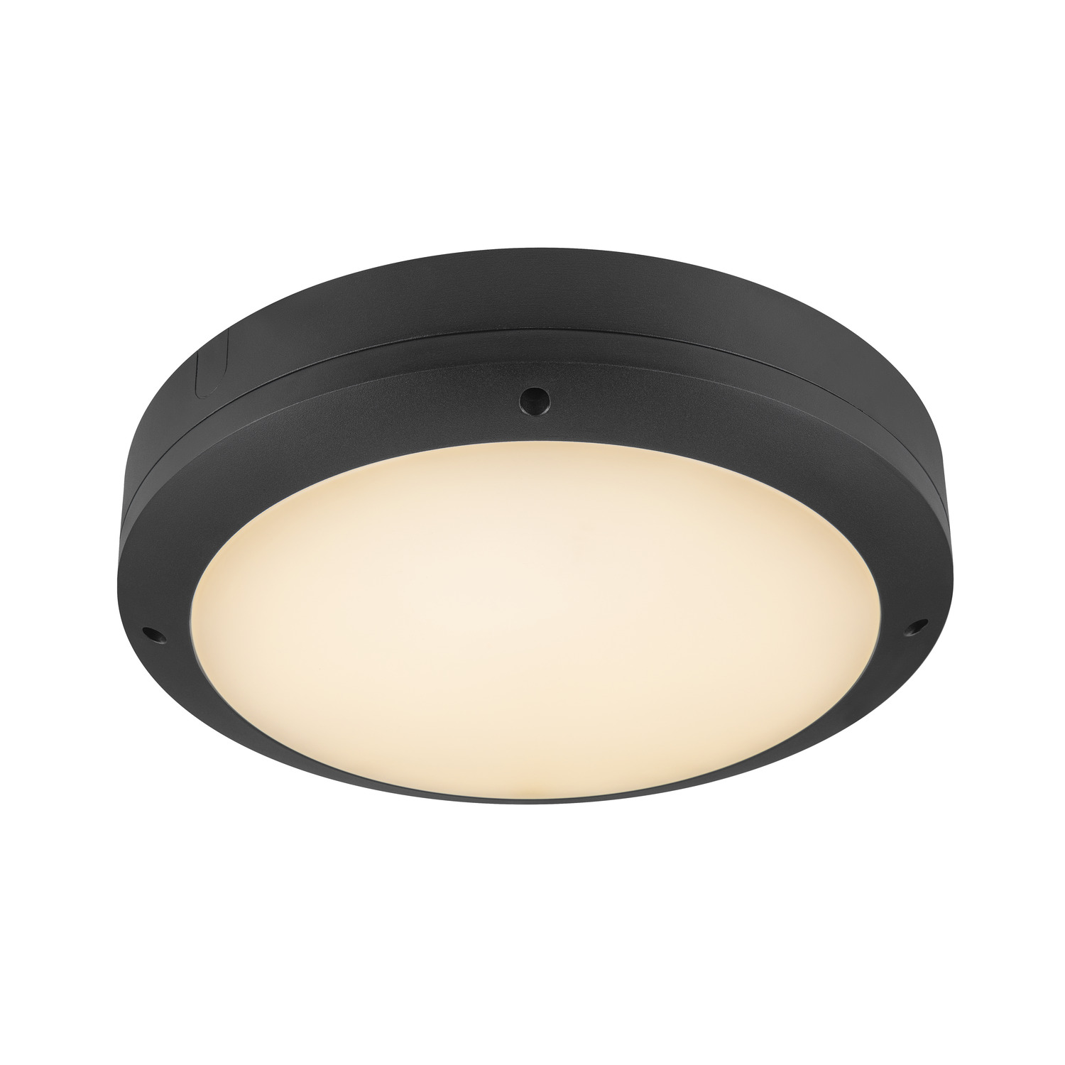 Plafon BULKHEAD Czujnik V 360 20W 3000/4000/6500K IP65 IK10 - czarny