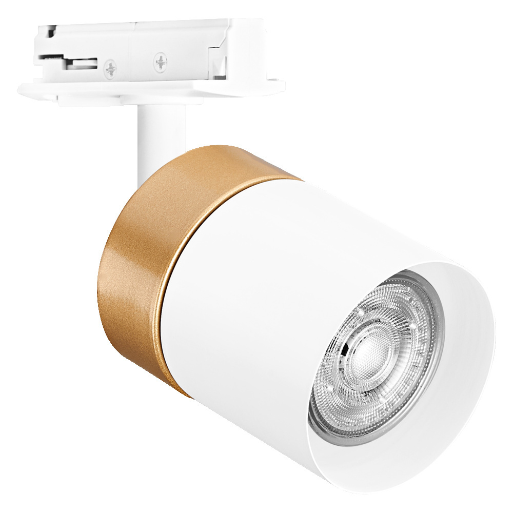 Reflektor TRACKLIGHT SPOT CYLINDER GOLD GU10 biały, mosiądż