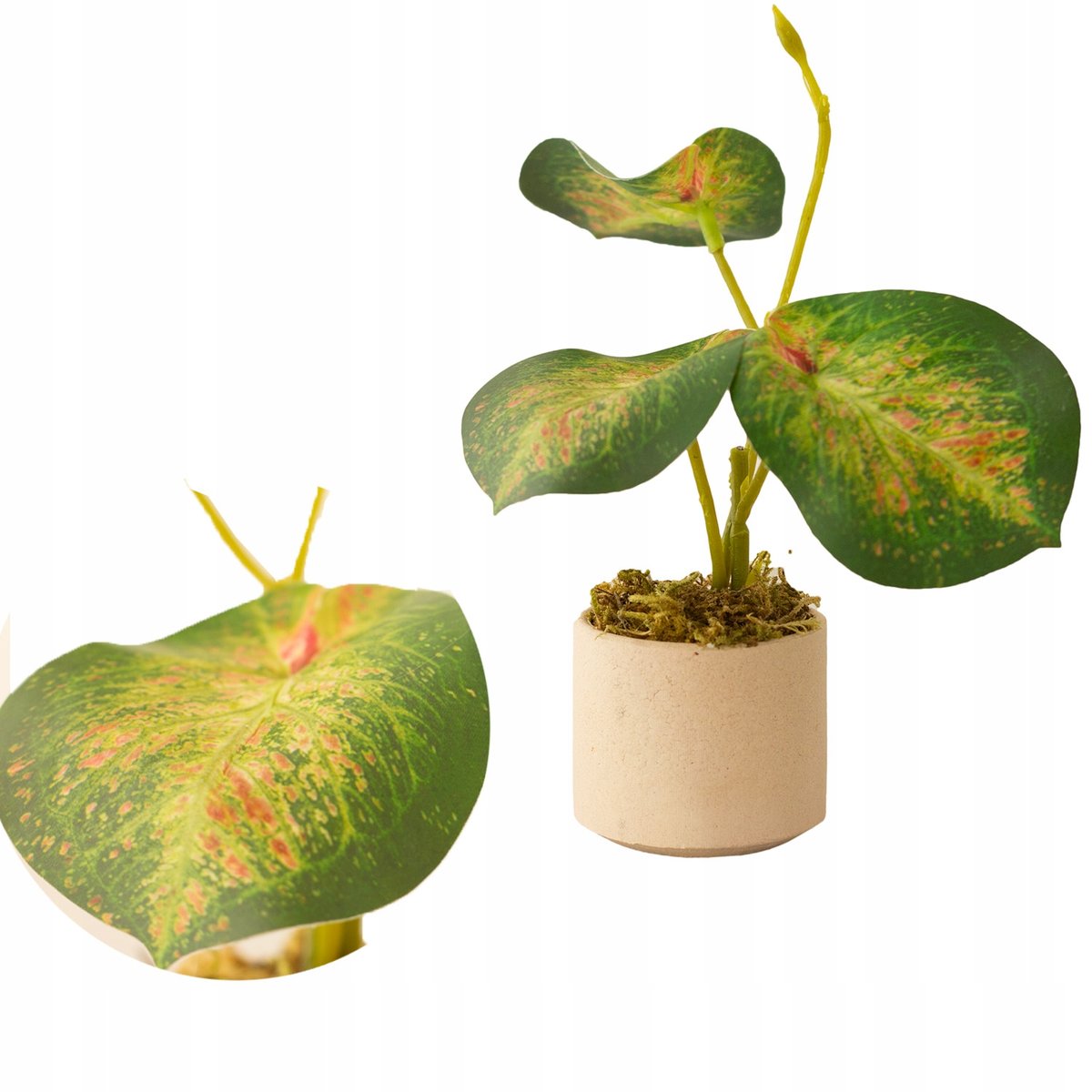 SZTUCZNY KWIAT roślina w doniczce alokazja jak żywa mała dekoracja ozdoba