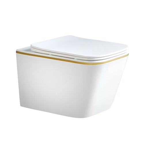 Hydrosan Miska wc złoty rant wisząca Rimless 4.0 RAIN-WH-GL-RIM-03