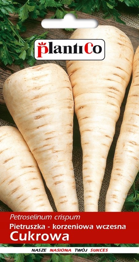 NASIONA Pietruszka Korzeniowa Cukrowa 5g PLANTICO 403741