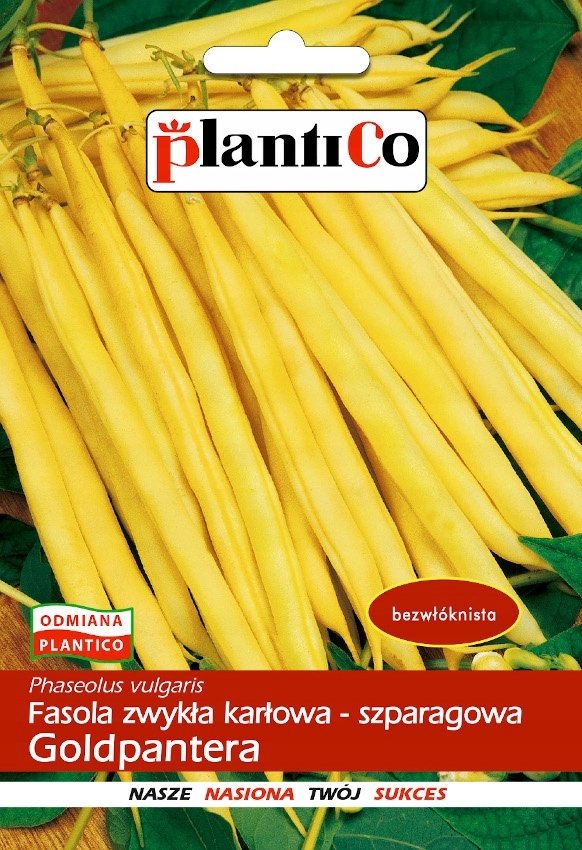 NASIONA Fasola Szparagowa Karłowa Goldpantera 40g PLANTICO Żółta 407732