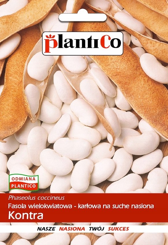 NASIONA Fasola Na Suche Nasiona Karłowa Kontra 50g PLANTICO 407824