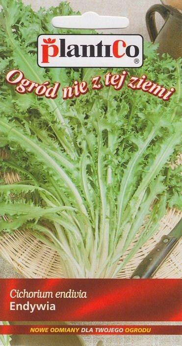 NASIONA Endywia Romanesca da taglio 0,2g PLANTICO 404755