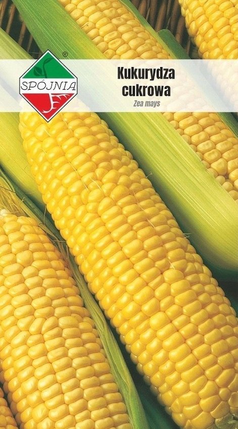 NASIONA Kukurydza cukrowa Gucio Mieszaniec 10g SPÓJNIA Słodka 325256